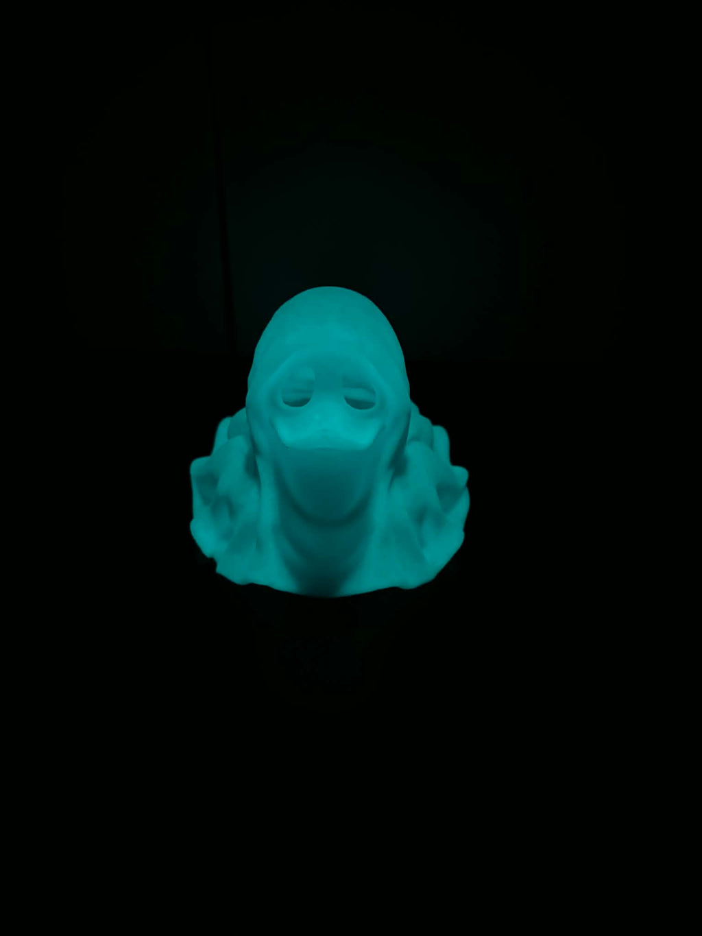 Ghost duckie